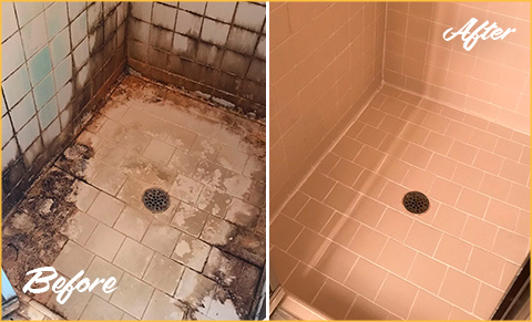 https://www.sirgroutwashingtondc.com/images/p/5/tile-cleaning-shower-mold-480.jpg
