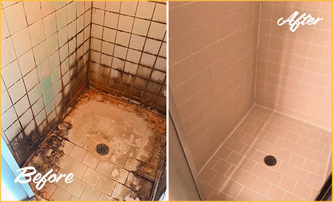 Homeowner Receives a Full Shower Restoration and Grout Cleaning in  Alexandria VA