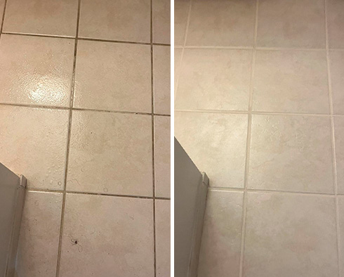 Tile Floor Before and After a Grout Sealing in Washington DC