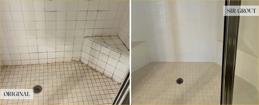 Shower Before and After a Superb Tile Cleaning in Arlington, VA