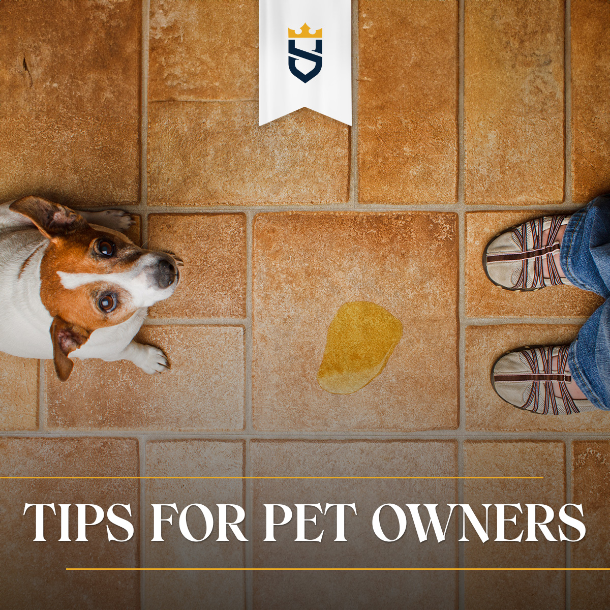 Tips for Pet Owners